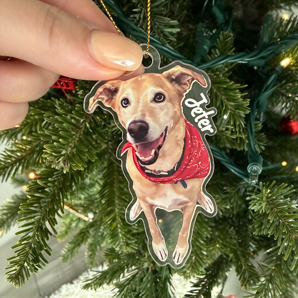 Personalized Pets Adorable Christmas Tree Photo Ornament | MNGift47