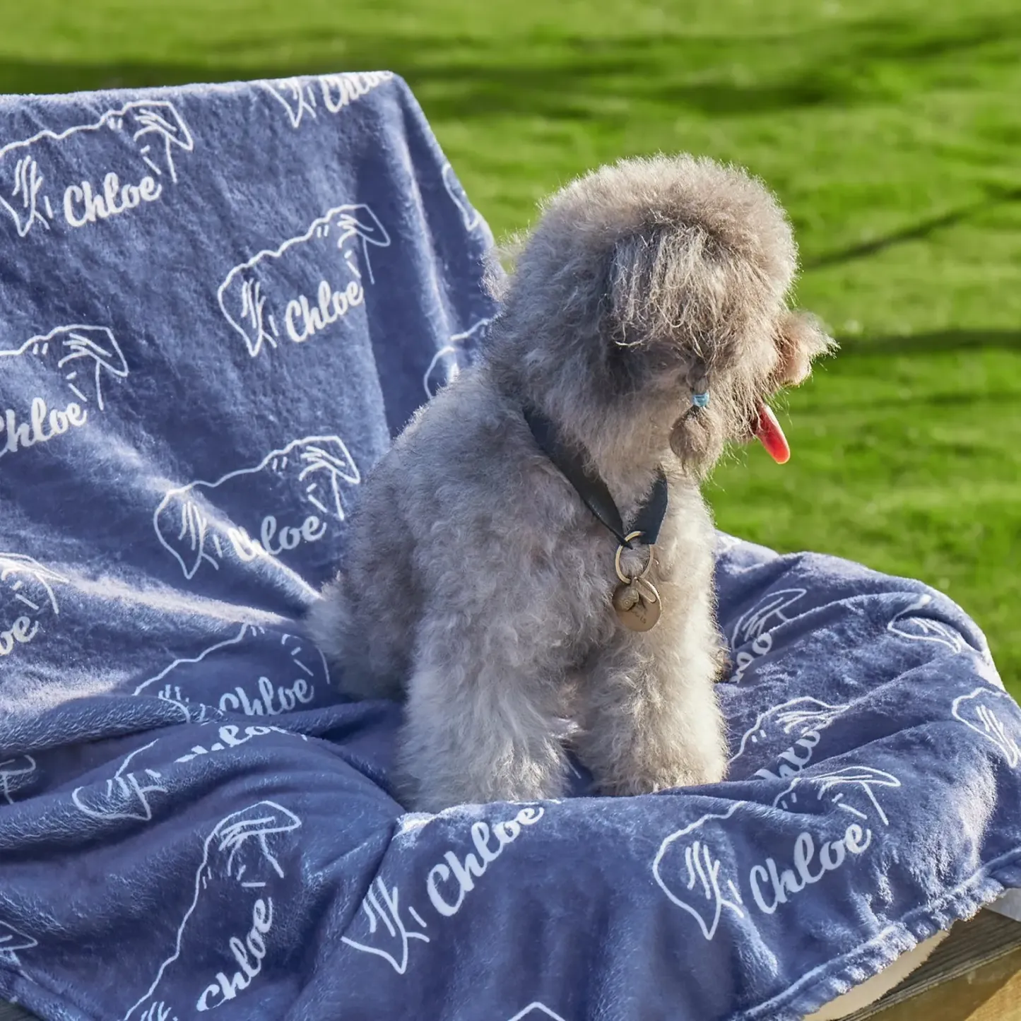 Personalized Lovely Pet Blanket for Comfort & Unique | BKPet102