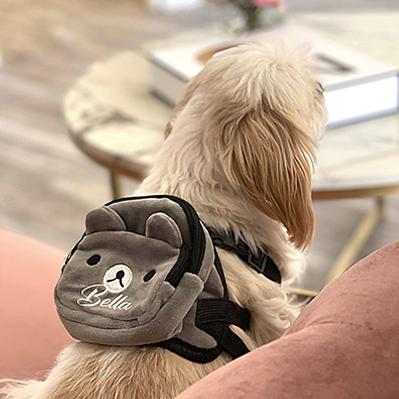 Personalized Cartoon Bear Pet Backpack| BKPet49