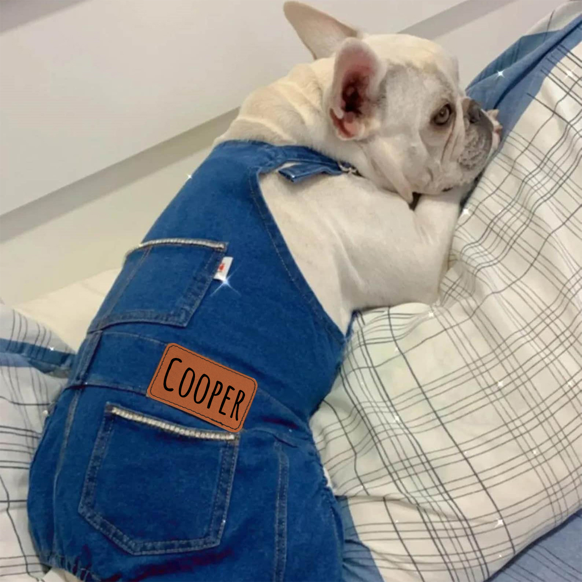 Personalized Leather Patch Pets Classic Overall Dungarees | BKPet56