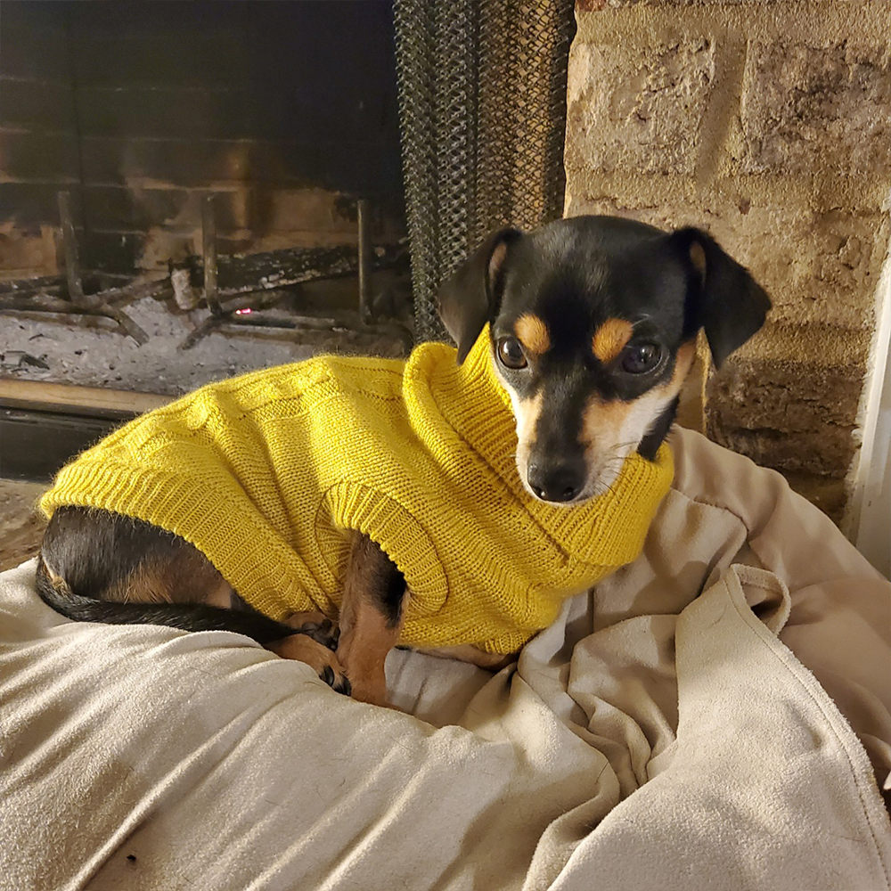 Personalized Leather Patch Pets Colourful Sweater | BKPet97