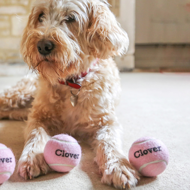 Personalized Pet Tennis Ball Toy | BKPet137