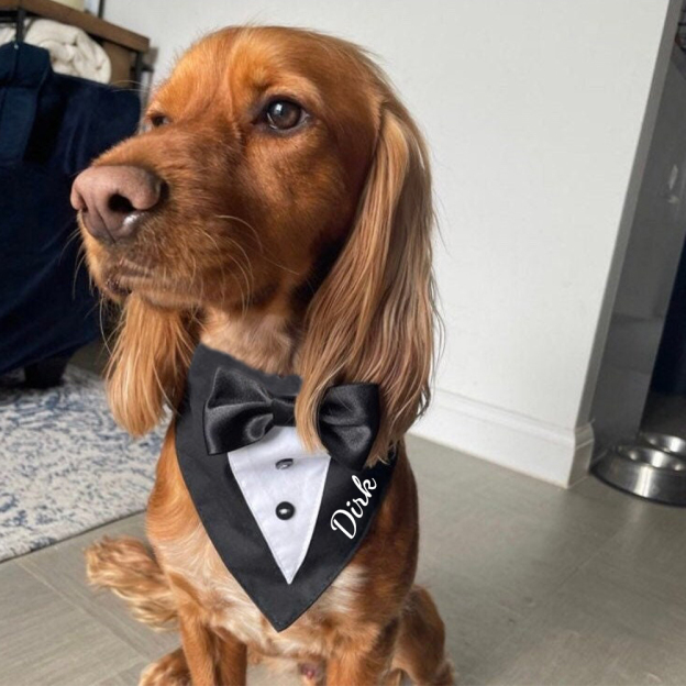 Personalized Wedding Pet Bow Tuxedo Suit | BKPet157