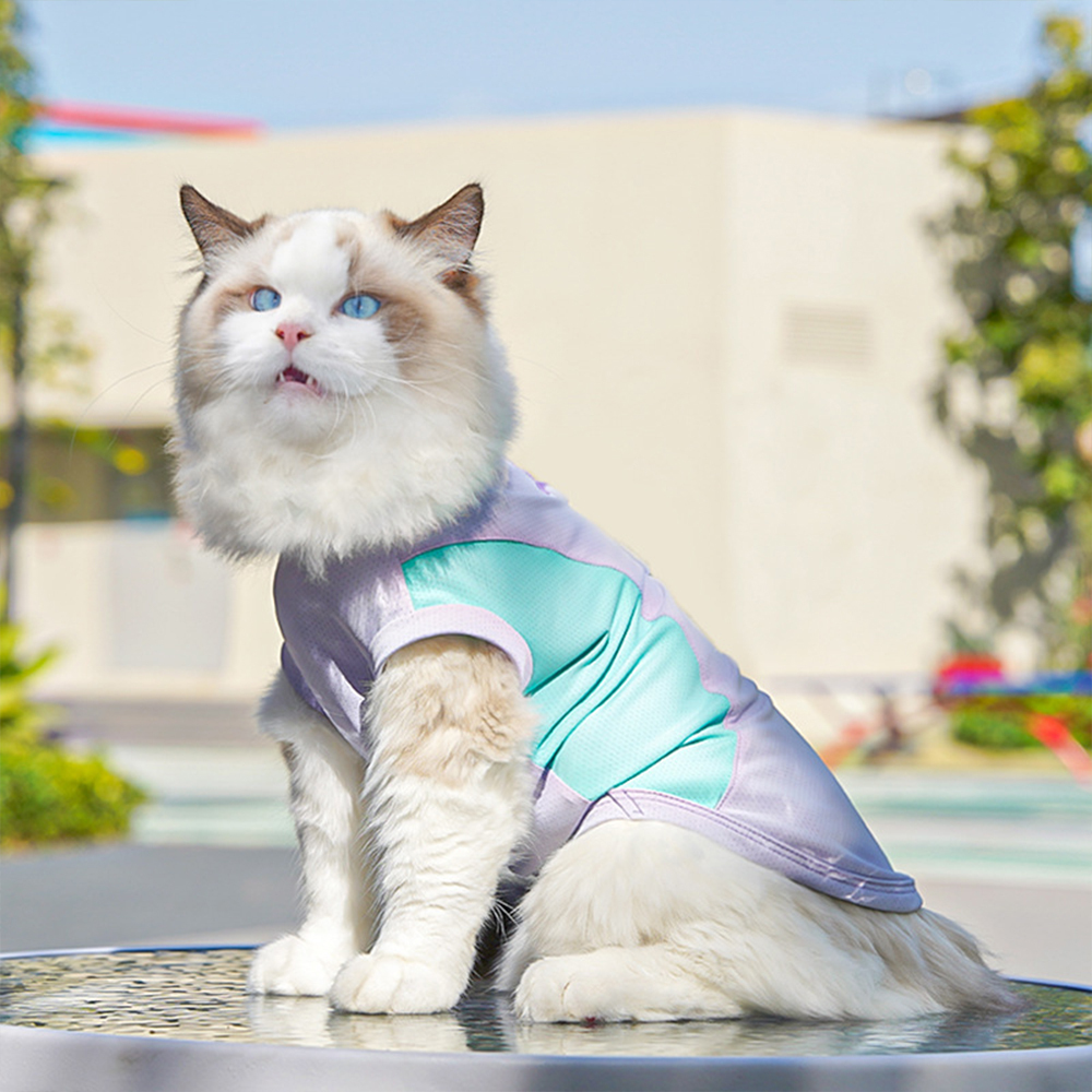 Personalized Pet Summer Cooling Quick-Drying Vest | BKPet155