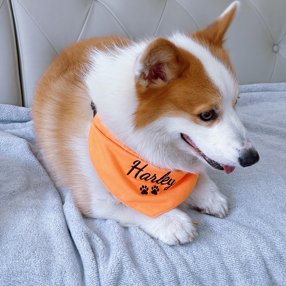 Personalized Embroidered Adjustable Dog Bandana | BKPet166