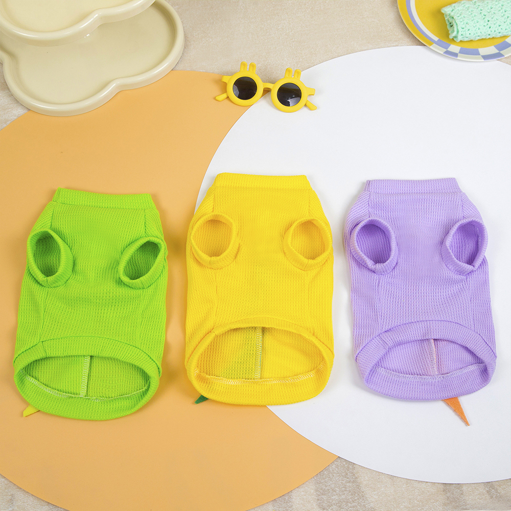 Personalized Pet Summer Lovely Dinosaur Shirt | BKPet179