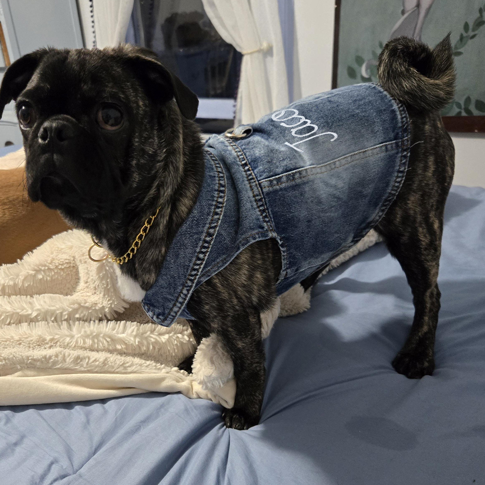 Personalized Hand Embroidery Pets Denim Jacket | BKPet2601