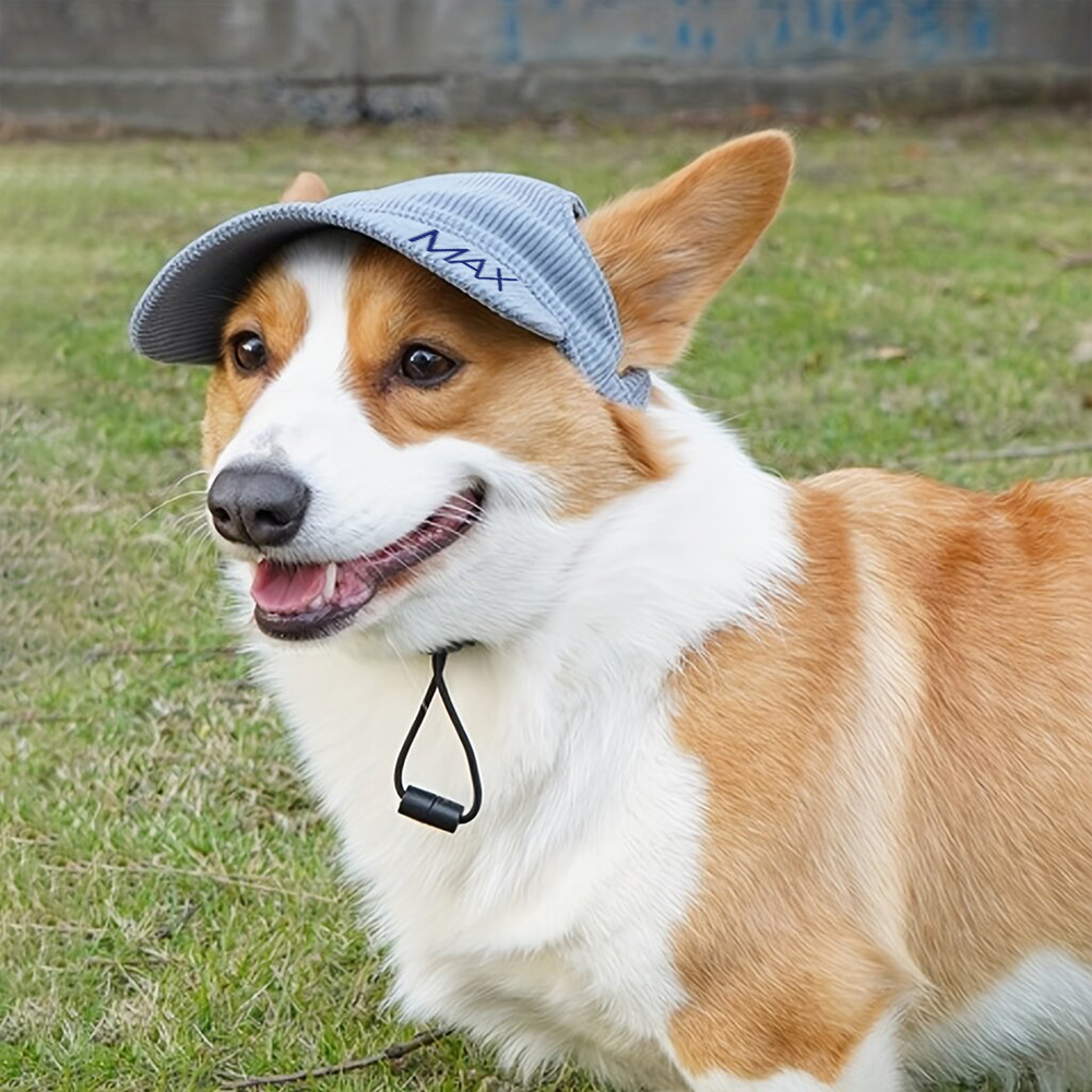Personalized Corduroy Adjustable Pet Pet Baseball Cap | BKPet184