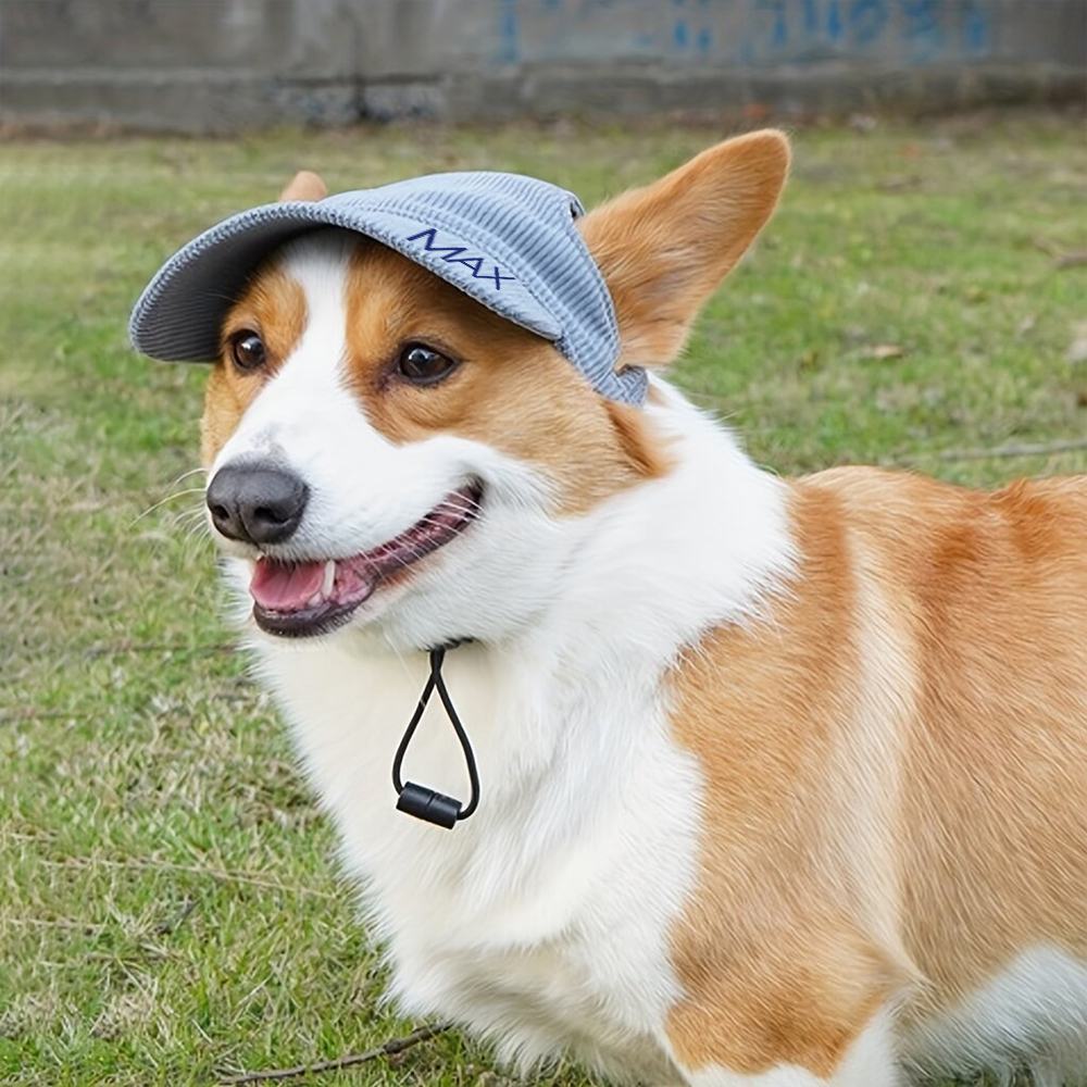Personalized Corduroy Adjustable Pet Pet Baseball Cap | BKPet184