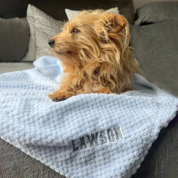 Personalized Embroidered Pet Soft Waffle Blanket | BKPet197