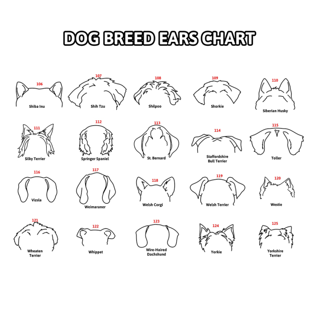 Personalized Memorial Plaque Dog Ear Collar Sign | BKPet212