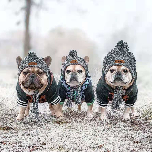 Personalized Pets Leather Patch Knitted Hat | BKPet215