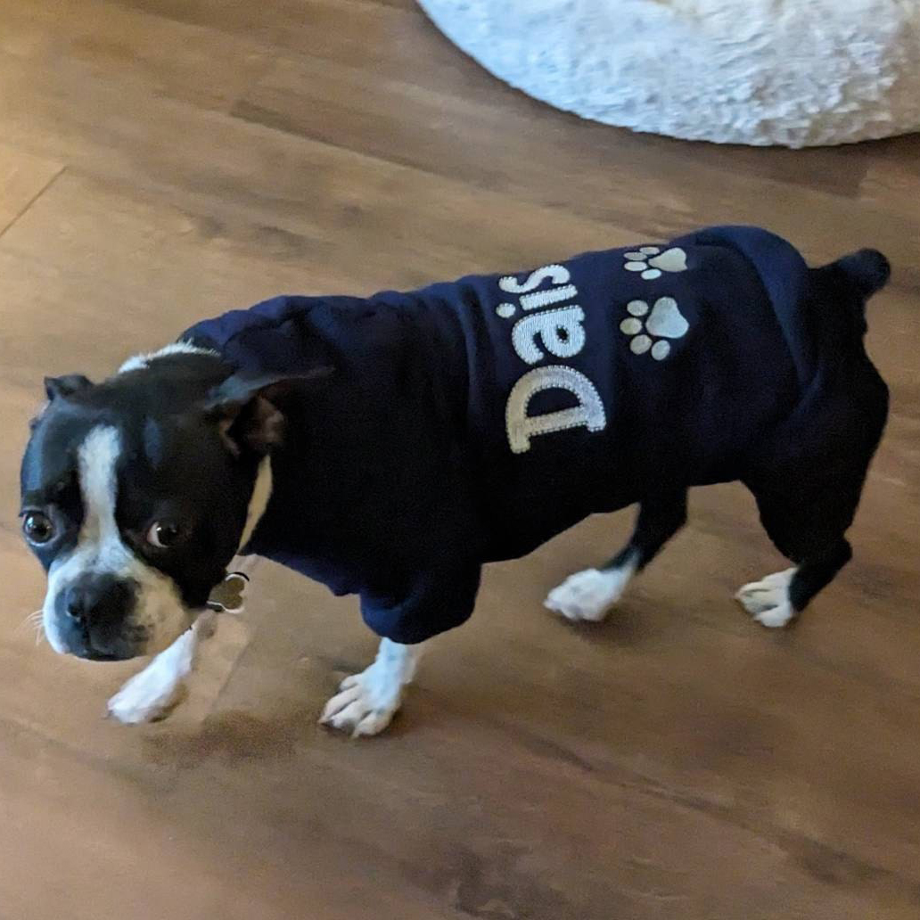 Personalized Warm Puppy Hoodie for Comfort & Unique | BKPet22