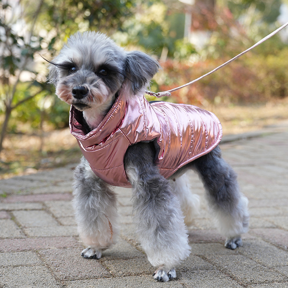 Personalized Pet Winter Warm Windproof Puffer Jacket | BKPet266