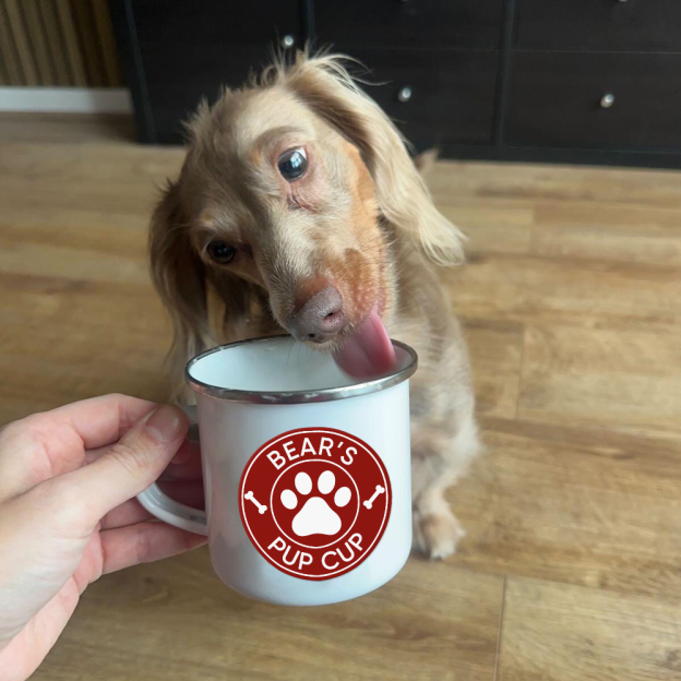 Personalised 12oz Pet Enamel Reusable Pup Cup Mug | BKPet280
