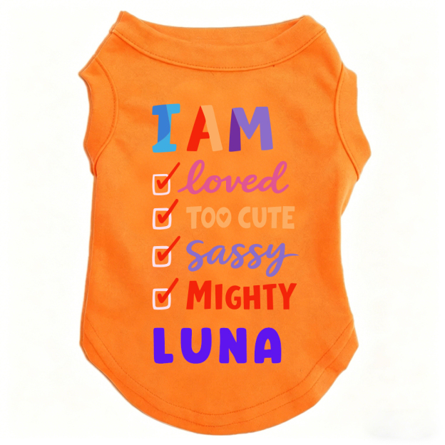 Personalized I AM Loved Checklist Pet Shirt | MNCloth208