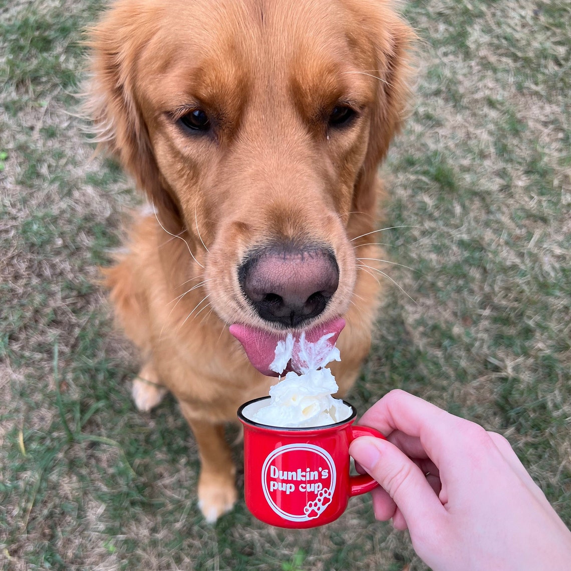 Personalized Pet 2oz Reusable Pup Cup Mug  | CWToy16