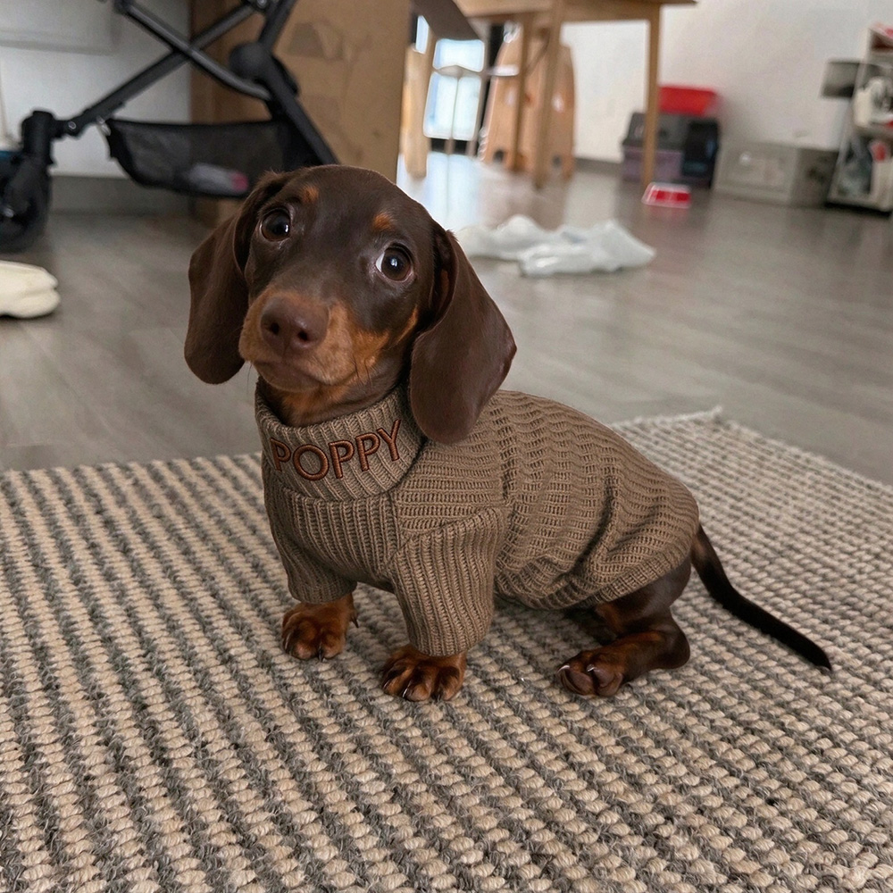 Personalized Embroidered Pets Warm Sweater & Sherpa Vest Set | MNCloth298