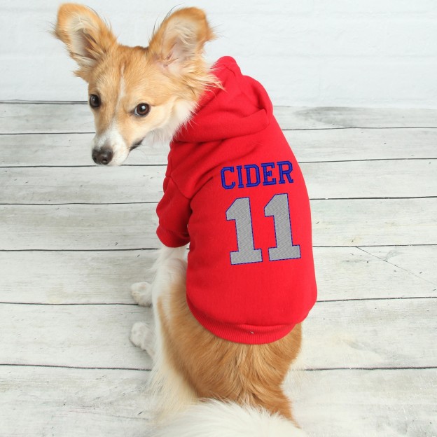 Personalized Warm Puppy Hoodie for Comfort & Unique | BKPet28