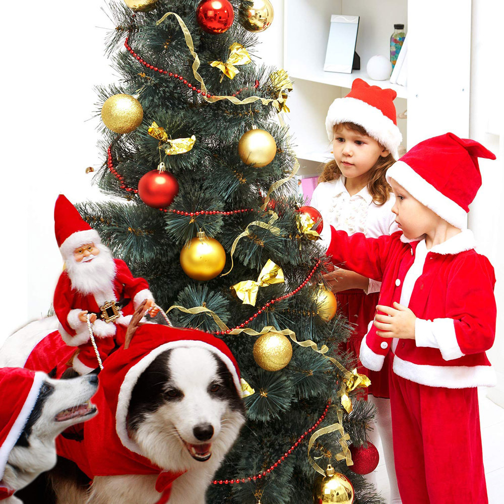 Personalized Christmas Santa Pet Riding Clothes | BKPet96
