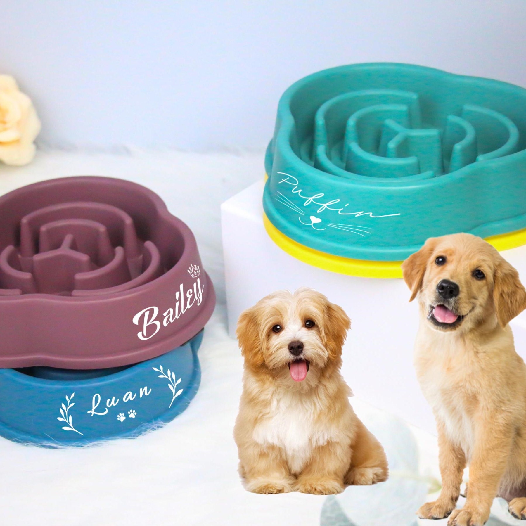 Personalized Anti-Choking Slow Feeder Pet Bowl | BKPet94