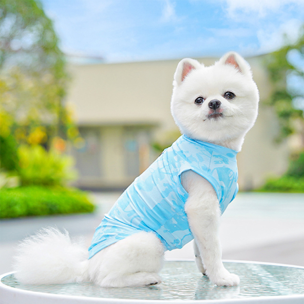 Personalized Breathable Pet Summer Cool Mesh Vest | BKPet192