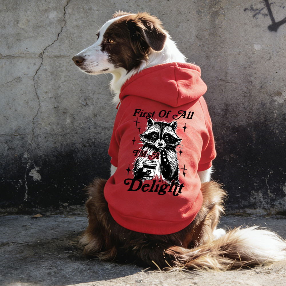 FIRST OF ALL I'M A DELIGHT Puppy Hoodie | BKPet321