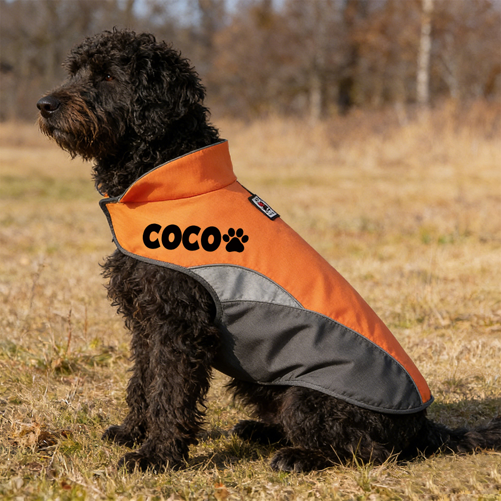 Personalized Pet Outdoor Windproof Vest | BKPet347