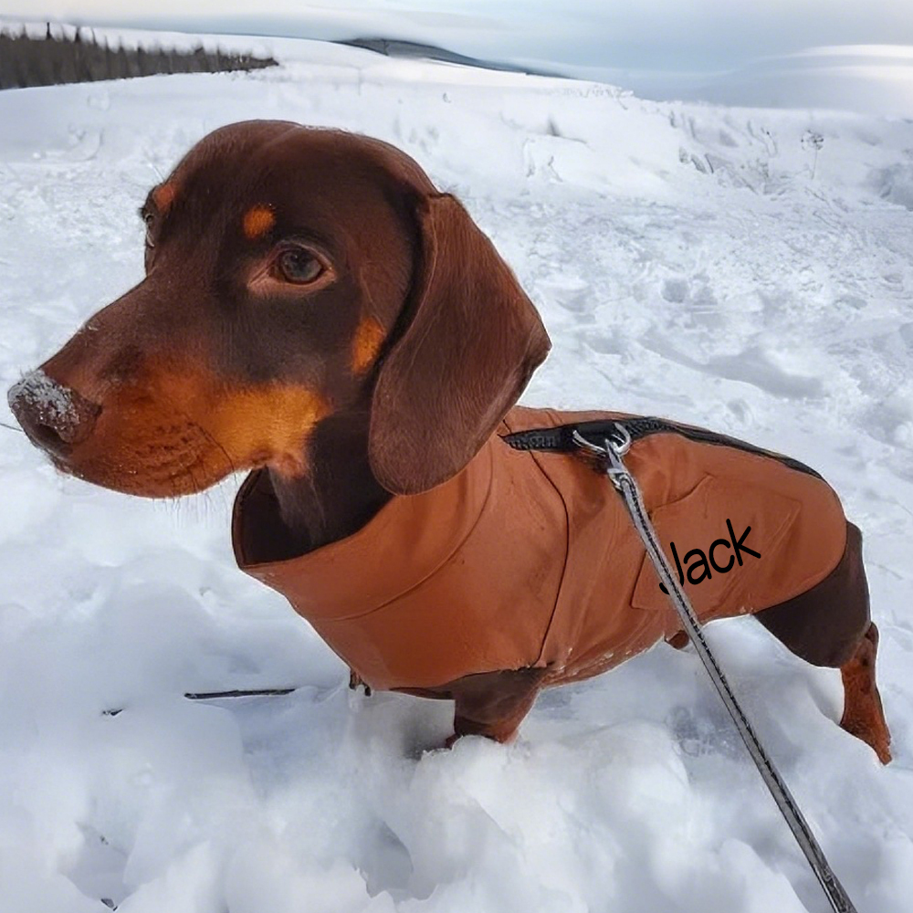 Personalized Pet Winter Warm Windproof Leather Jacket | BKPet361