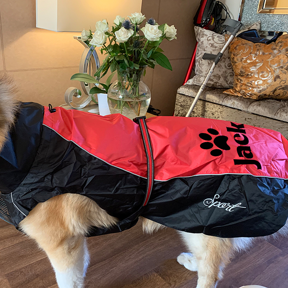 Personalized Pet Large Size Waterproof Raincoat Jacket | BKPet414