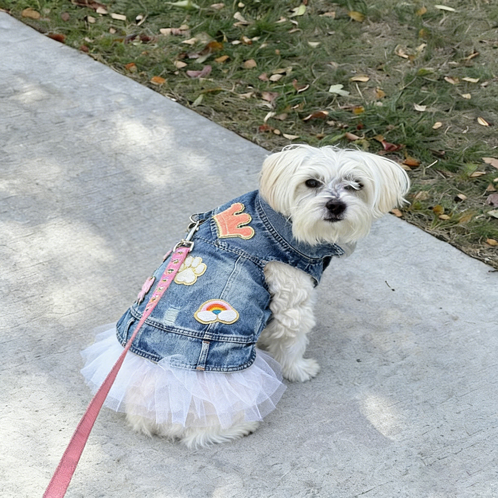 Personalized Hand Patch Pets Denim Jacket with TUTU Skirt | BKPet424