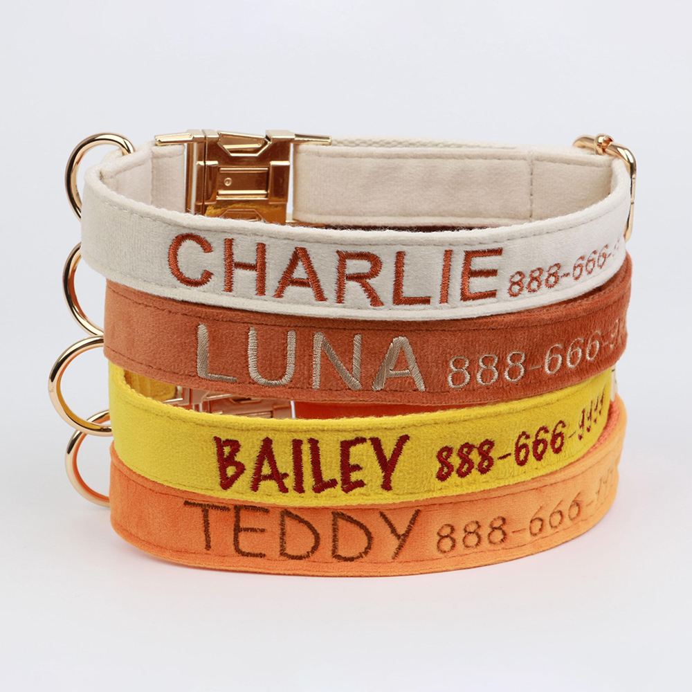 Personalized Embroidered Adjustable Velvet Pet Collar | BKPet425