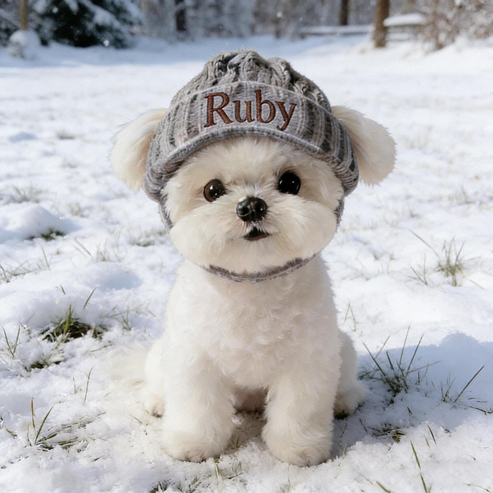 Personalized Embroidered Pet Knit Beanie | BKPet433