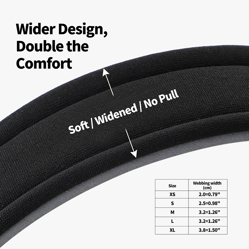 Personalized Embroidered Dog Collar & Leash Set | BKPet434