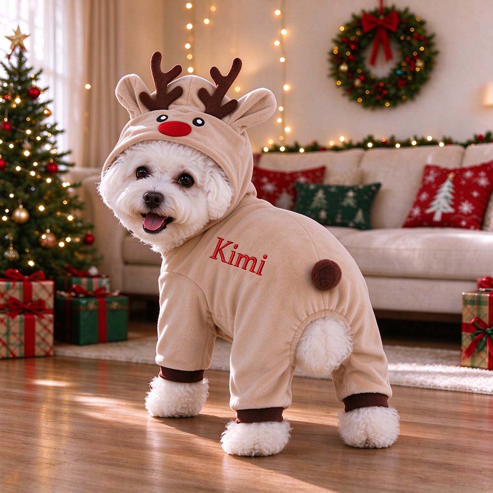 Personalized Embroidered Pets Christmas Reindeer Outfit | MNCloth276