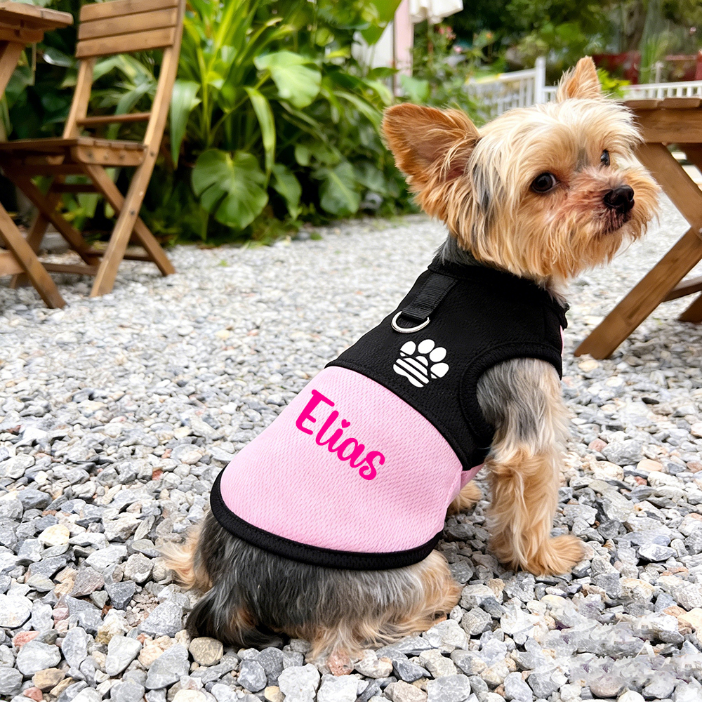 Personalized Pet Comfortable Breathable Mesh Vest | BKPet445