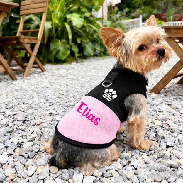 Personalized Pet Comfortable Breathable Mesh Vest | BKPet445
