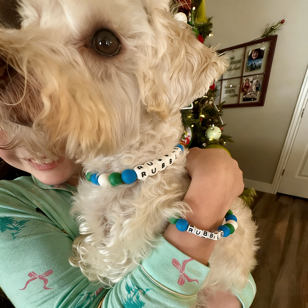 Personalized Handmade Matching Pet Necklace & Owner Bracelet | BKPet456