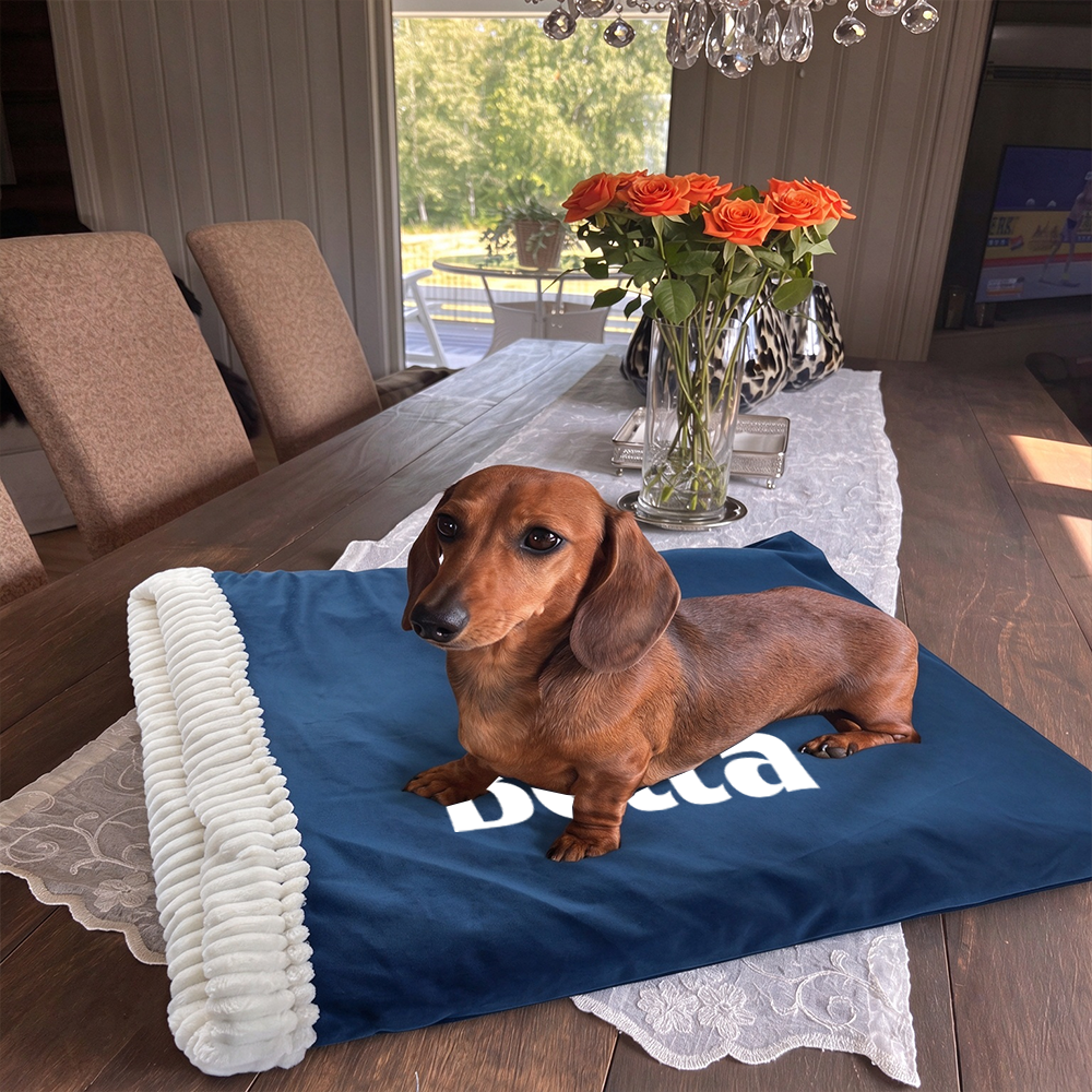 Personalized Velvet Dogs Snuggle Sack | MNHome110