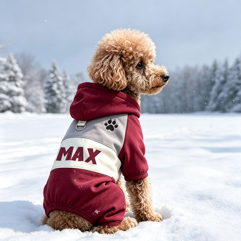 Personalized Winter Warm & Windproof Color-Blocked Cotton Coat For Pets | BKPet592