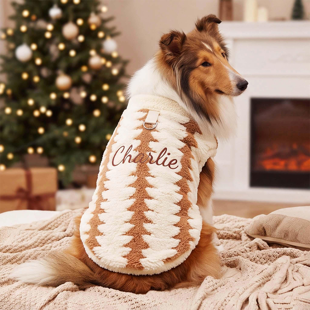 Personalized Embroidered Christmas Dog Sweater | BKPet603