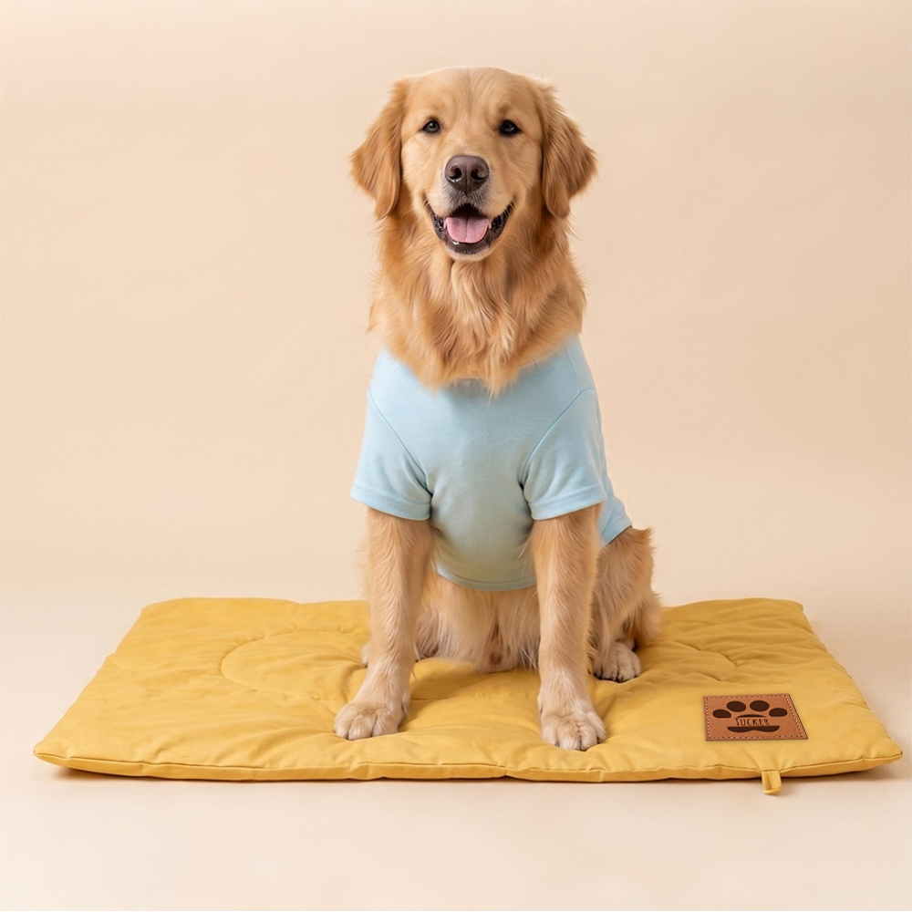 Personalized Portable Roll-Up Pet Mat | BKPet619