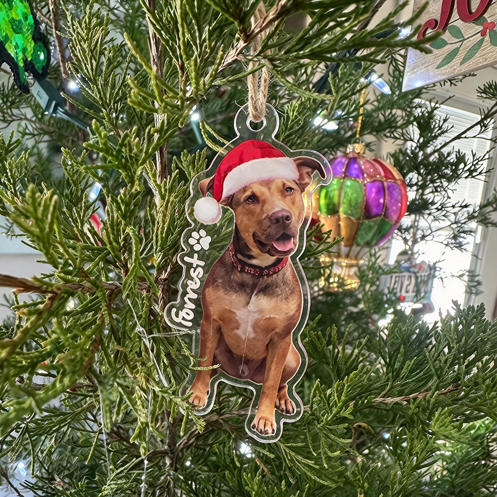 Personalized Pets Adorable Christmas Tree Photo Ornament | MNGift47