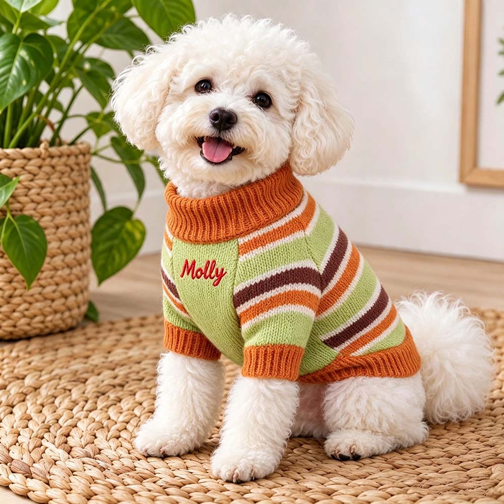 Personalized Embroidered Pet Striped Color-Blocked Sweater | BKPet621
