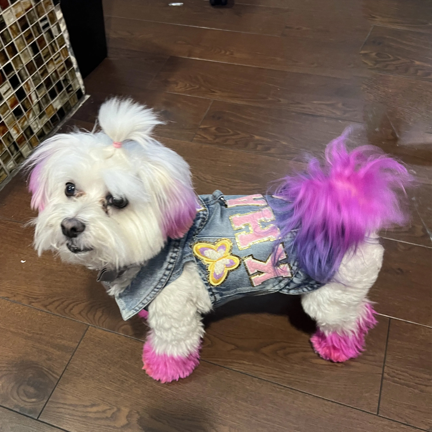 Personalized Hand Patch Pets Denim Jacket for Comfort and Unique | BKPet26