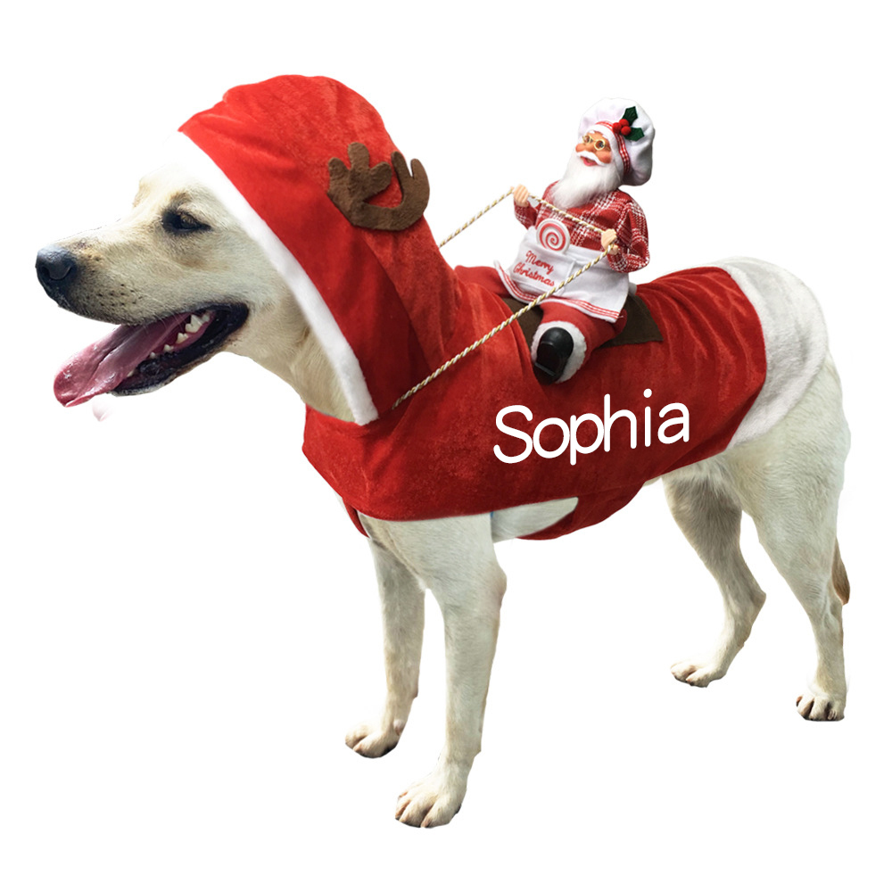 Personalized Christmas Santa Pet Riding Clothes | BKPet96