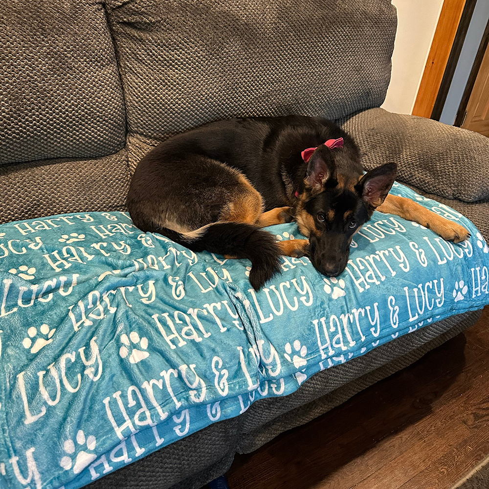 Personalized Lovely Pet Blanket for Comfort & Unique | BKPet01