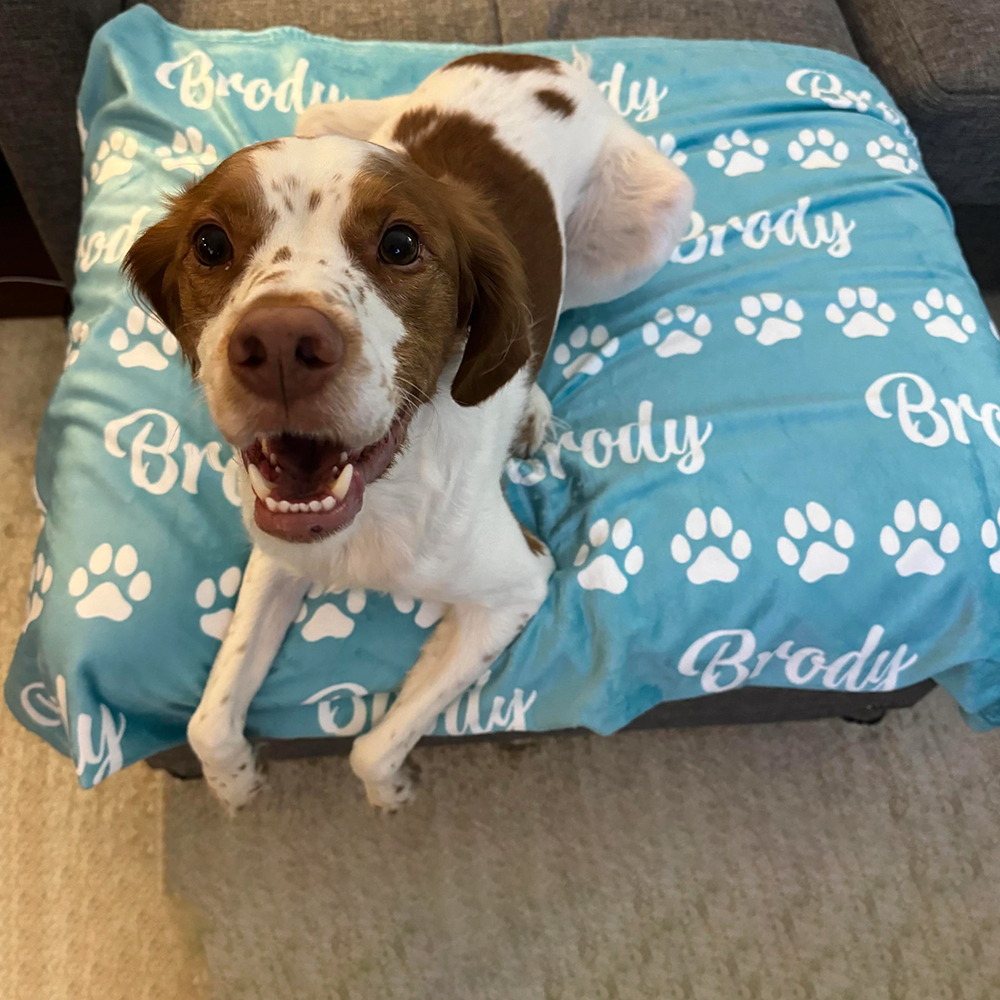 Personalized Lovely Pet Blanket for Comfort & Unique | BKPet14
