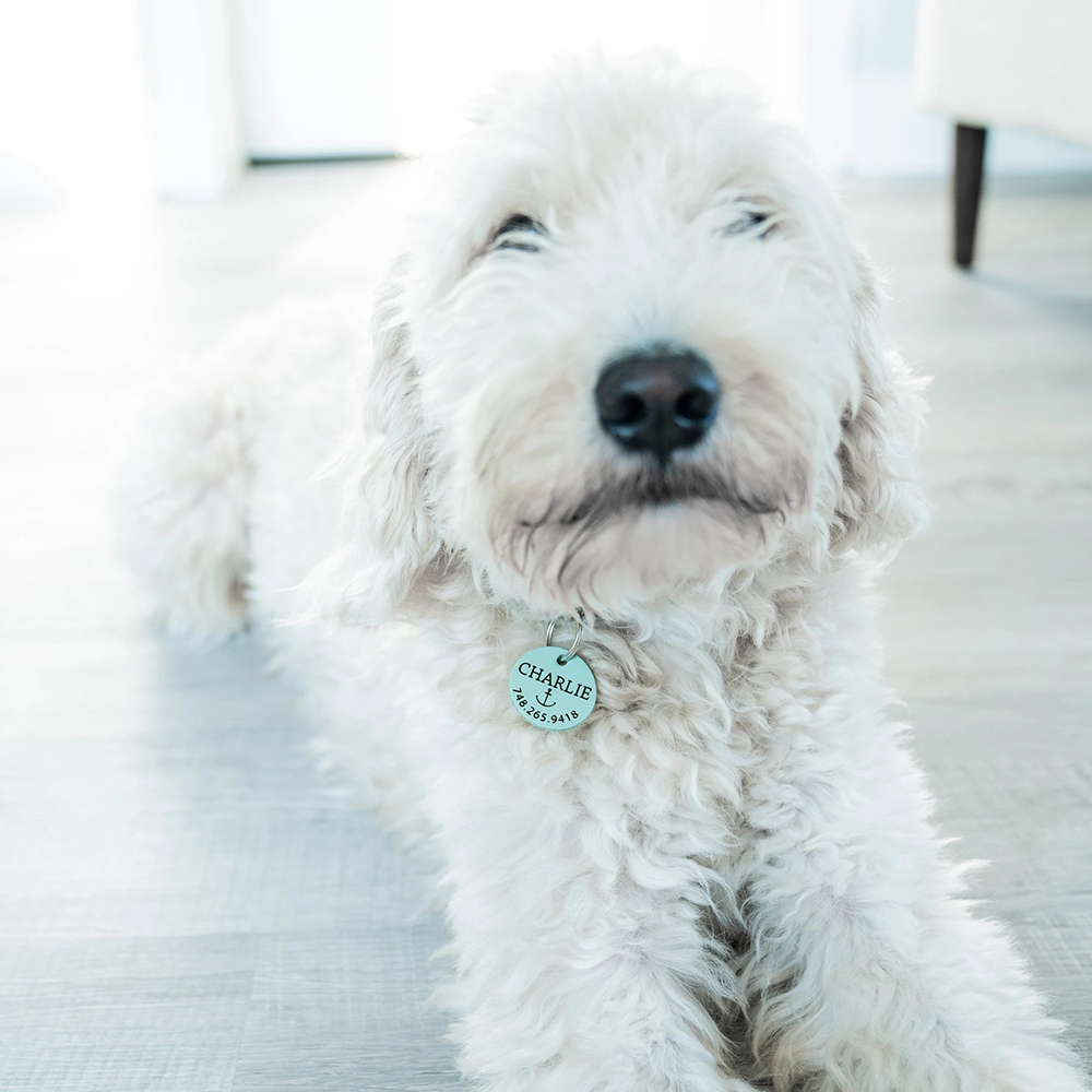 Personalized Handmade Silent Leather Pet ID Tag | BKPet145