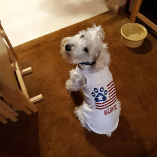 Personalized The 4th of July Soft Pet Shirt | BKPet151
